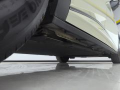 BYD Dolphin 420km Free Version - photo 10