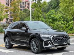Audi Q5L 45 TFSI Luxury Dynamic Edition - фото 3
