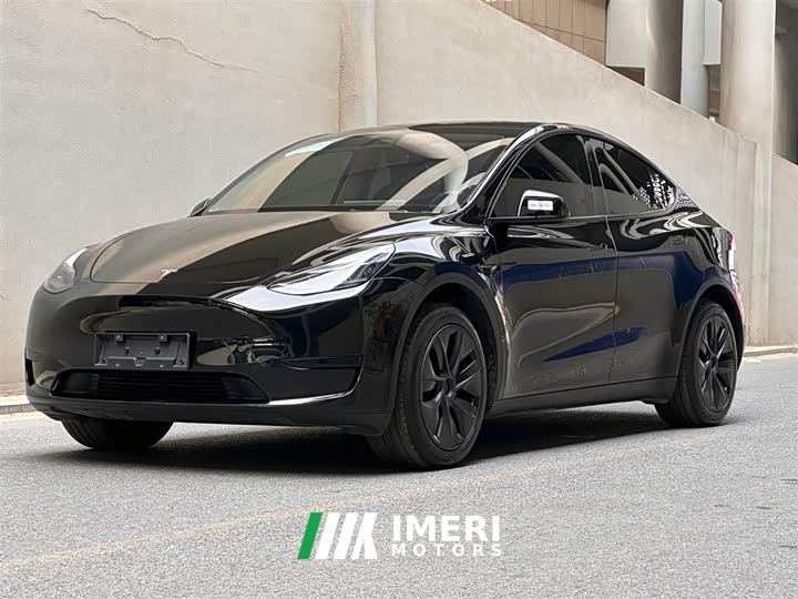Tesla Model Y 554km Rear-Wheel Drive Edition - автомобиль из Китая