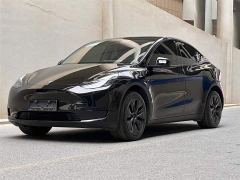 Tesla Model Y 554km Rear-Wheel Drive Edition - фото 1