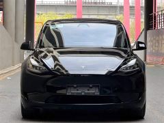 Tesla Model Y 554km Rear-Wheel Drive Edition - фото 2