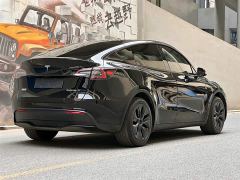 Tesla Model Y 554km Rear-Wheel Drive Edition - фото 5