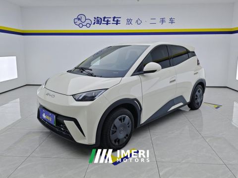 2023 BYD Seagull 305km Vitality Edition