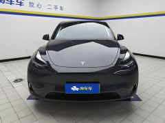 Tesla Model Y 554km Rear-Wheel Drive Edition - фото 3