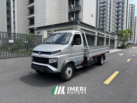 2023 Farizon Fengrui F3E 250km 55.7kWh - ავტომობილი ჩინეთიდან