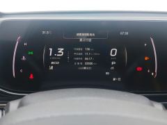 GAC Shadow Leopard 270T J15 Edition - ფოტო 20