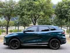 Forthing Hafei T5 EVO T5 EVO Edition 1.5T - ფოტო 13