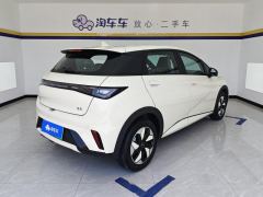 BYD Dolphin 420km Free Version - ფოტო 2