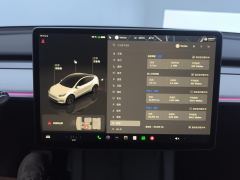 Tesla Model Y 554km Rear-Wheel Drive Edition - ფოტო 20