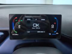 BYD Seagull Smart Driving Edition 305km Vitality Edition - photo 20