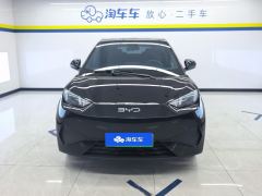 BYD Seagull Smart Driving Edition 305km Vitality Edition - photo 3