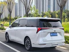 Buick GL8 Luxun 2.0T First Edition - photo 17