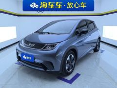 BYD Dolphin 420km Free Version - ფოტო 1