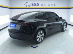 Tesla Model Y 545km Rear-Wheel Drive Edition - фото 2
