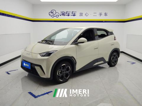 2025 BYD Seagull 405km Flying Edition - ავტომობილი ჩინეთიდან