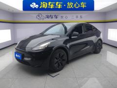 Tesla Model Y 554km Rear-Wheel Drive Edition - ფოტო 1