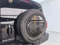 Tank 300 2.0T Conqueror - photo 18