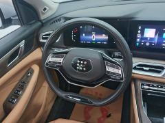 Blue Electric E5 1.5L DE-i 100km Version - photo 18