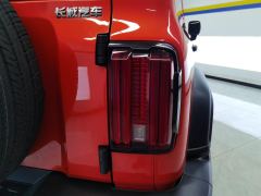 Tank 300 Off-Road Edition 2.0T Conqueror - ფოტო 5