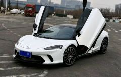 McLaren GT 4.0T Standard Edition - ფოტო 1