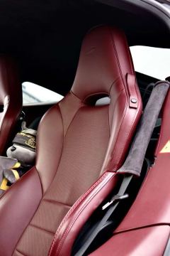 McLaren GT 4.0T Standard Edition - ფოტო 9