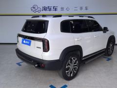 Haval Great Wall Big Dog Great Wall Dog 2.0T Two-wheel drive Chinese hunting dog version - фото 2