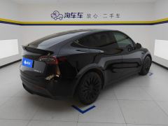 Tesla Model Y 545km Rear-Wheel Drive Edition - ფოტო 2