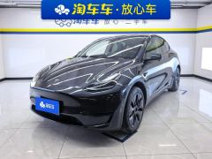 Tesla Model Y 554km Rear-Wheel Drive Edition - ფოტო 1