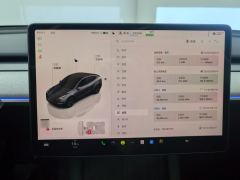 Tesla Model Y 554km Rear-Wheel Drive Edition - ფოტო 20