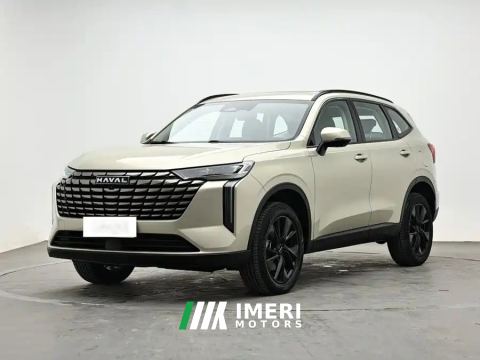 2024 Haval H6 1.5T Two-Wheel Drive Pro - ავტომობილი ჩინეთიდან