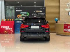 BMW X3 xDrive 25i M Sport Package - фото 6