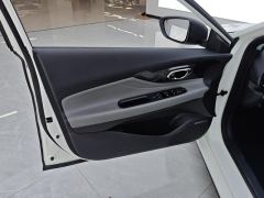 GAC Shadow Leopard 270T J16 Edition - photo 12