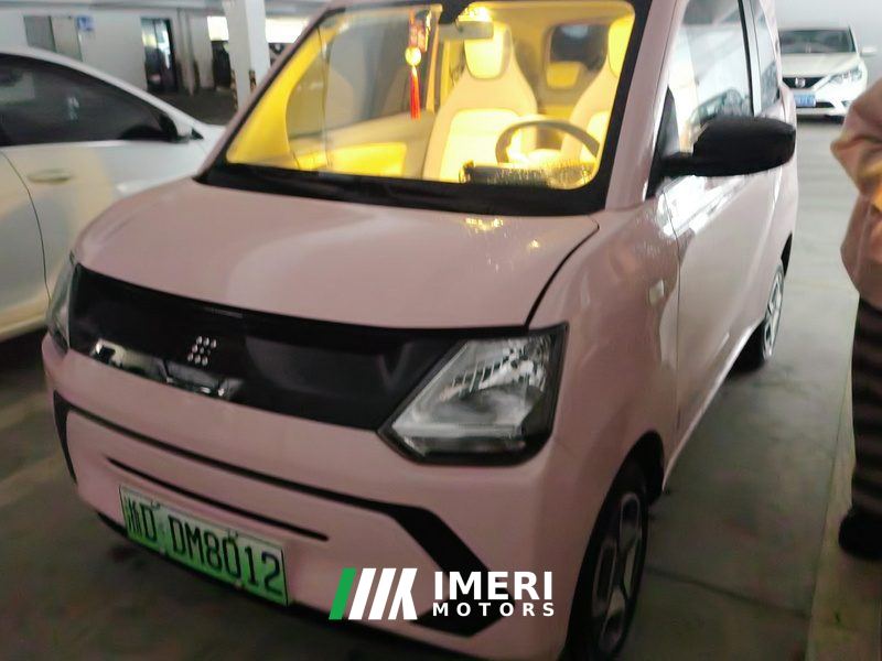 Fengon MINI EV MINIEV 180km - car from China