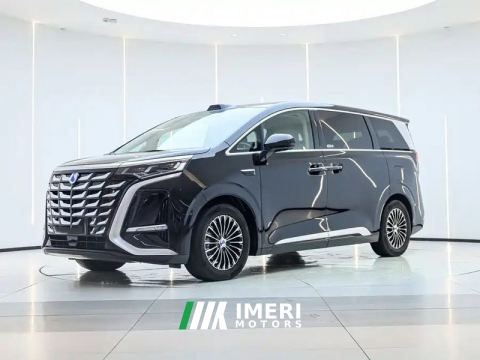 2024 Denza D9 DM-i 1.5T 200km Exclusive Frontrunner 7-seater - ავტომობილი ჩინეთიდან