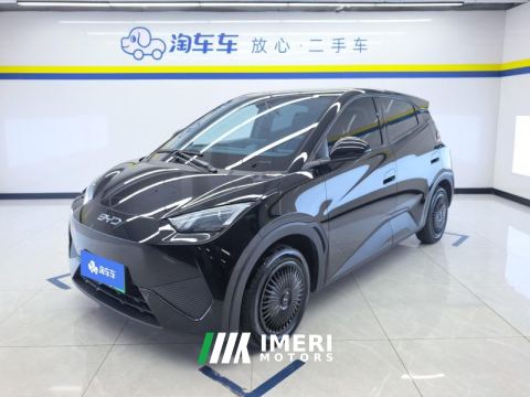 2025 BYD Seagull Smart Driving Edition 305km Vitality Edition - car from China