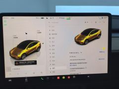 Tesla Model Y 545km Rear-Wheel Drive Edition - ფოტო 20