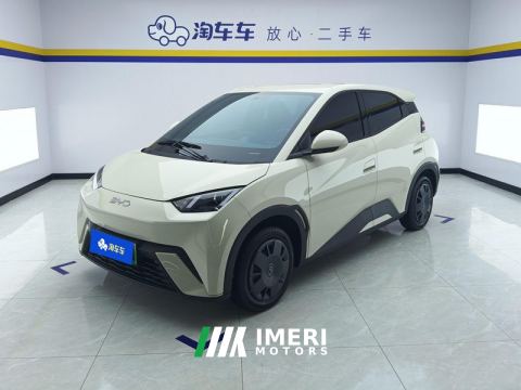 2024 BYD Seagull Honor Edition 305km Vitality Edition - car from China