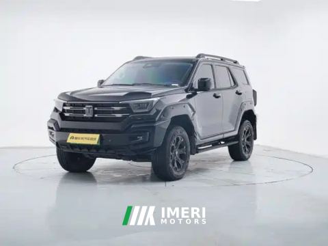 2024 Tank 400 New Energy 2.0T 105km Off-road version 37.1kWh - car from China