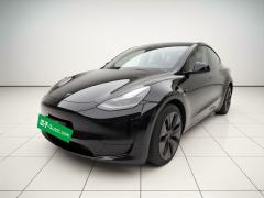 Tesla Model Y 545km Rear-Wheel Drive Edition - ფოტო 1