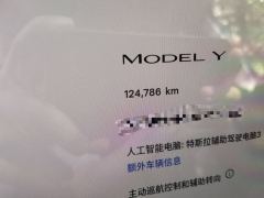 Tesla Model Y 545km Rear-Wheel Drive Edition - ფოტო 13