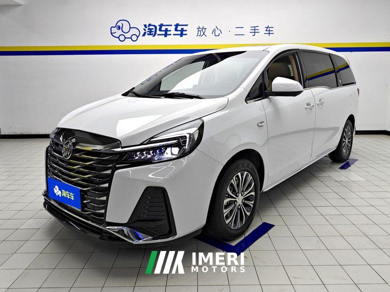 Buick GL8 Land Business Class 2.0T Luxury Edition 7-seater
