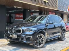 BMW X5 xDrive40Li Deluxe VersionM - ფოტო 1