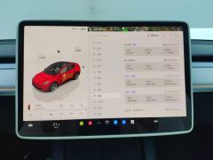 Tesla Model Y 554km Rear-Wheel Drive Edition - ფოტო 20