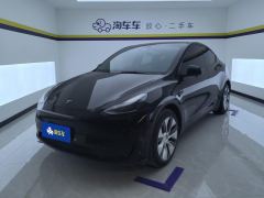 Tesla Model Y 545km Rear-Wheel Drive Edition - ფოტო 1