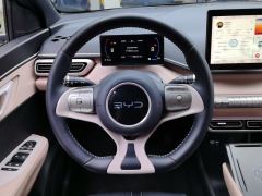 BYD Seagull 305km Free Version - ფოტო 18