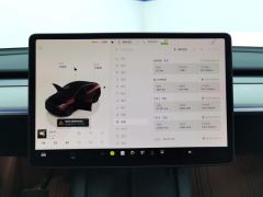 Tesla Model Y 554km Rear-Wheel Drive Edition - ფოტო 20