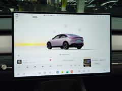 Lerado L60 555km Standard Range Edition 60kWh - ფოტო 20