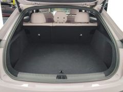 Lerado L60 555km Standard Range Edition 60kWh - ფოტო 7