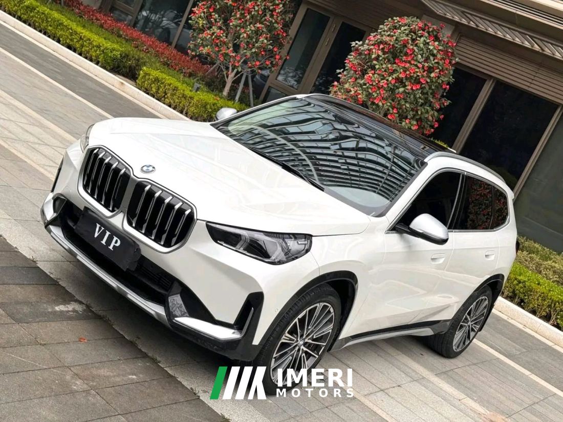 BMW X1 xDrive25Li M Sport Package - car from China