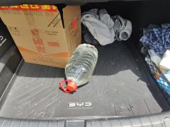 BYD Qin PLUS DM-i 120km Flagship - photo 7